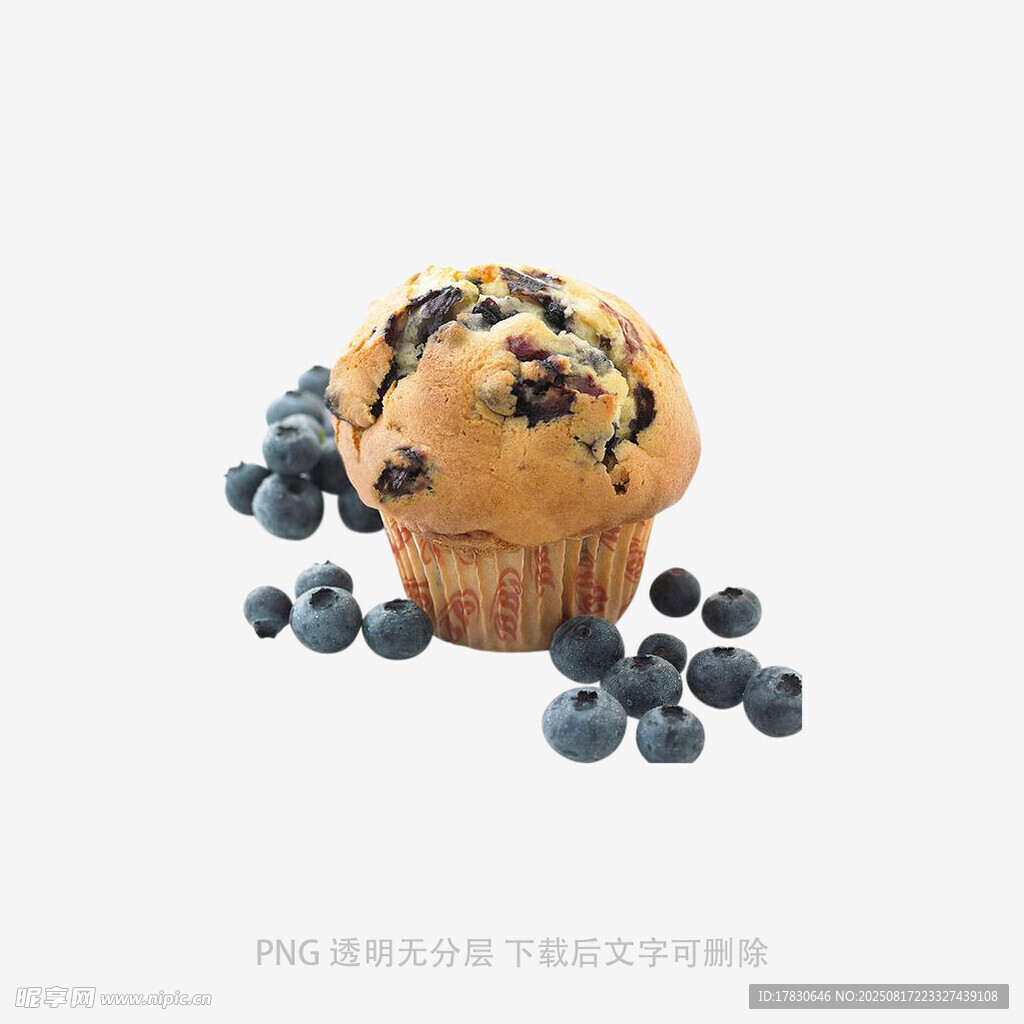 紙杯蛋糕