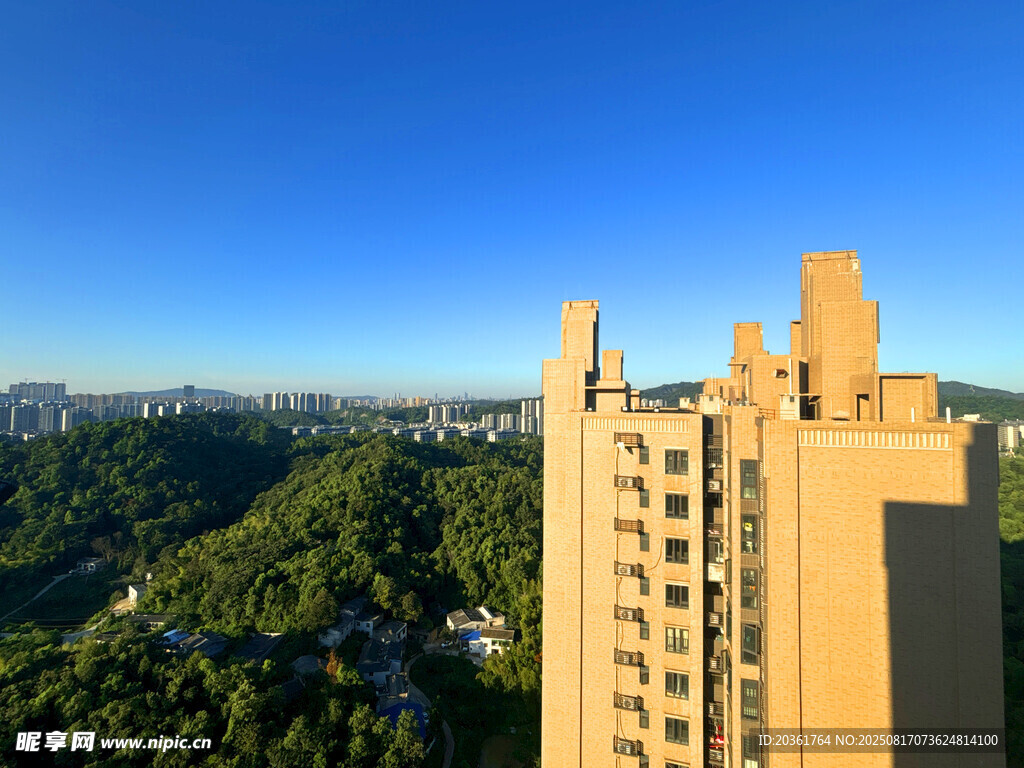 高層住宅俯瞰蔥郁山林