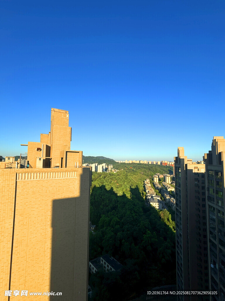高樓間的藍天與綠植景觀