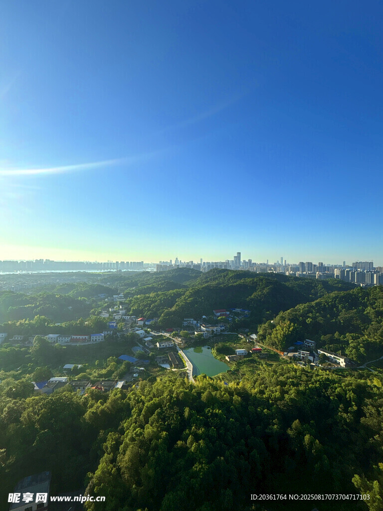 俯瞰綠意盎然的城市景觀