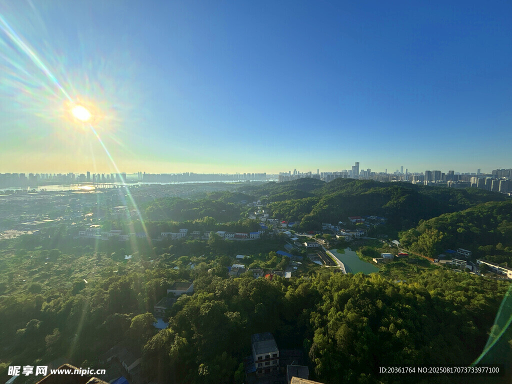 日出下的城市與蔥郁樹林
