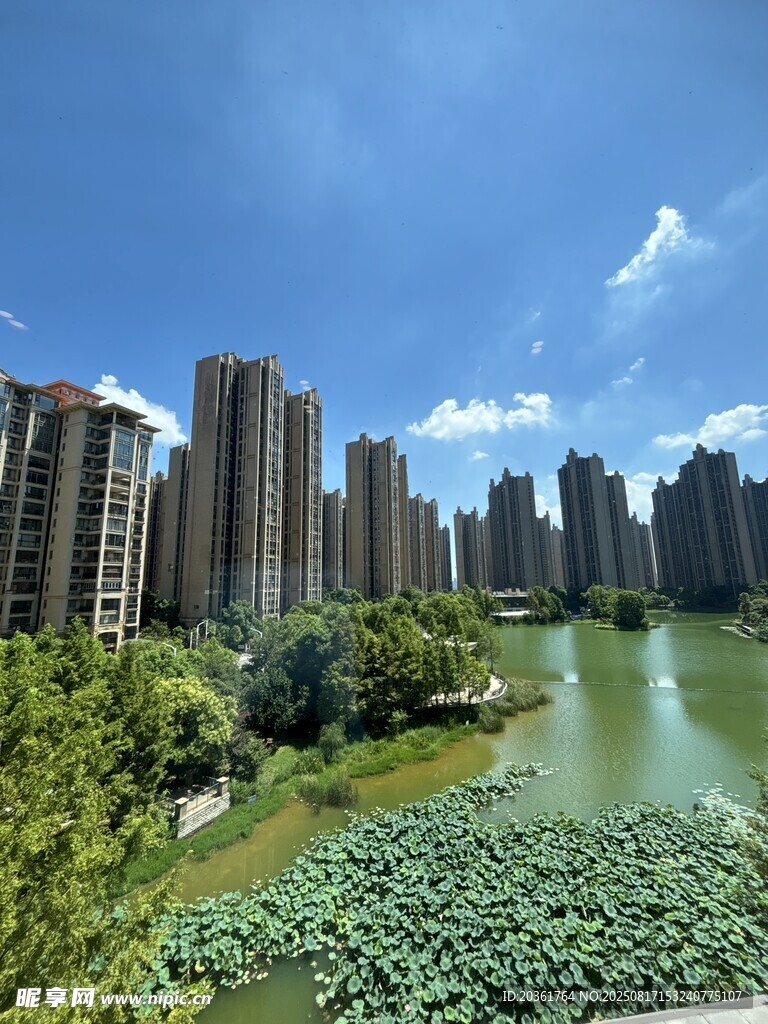 河畔高樓與綠意景觀