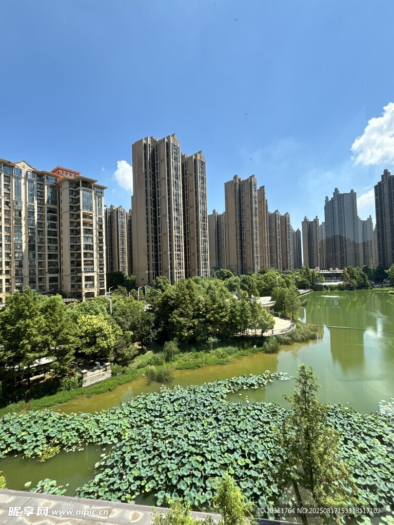 湖畔高樓林立的城市景觀(guān)