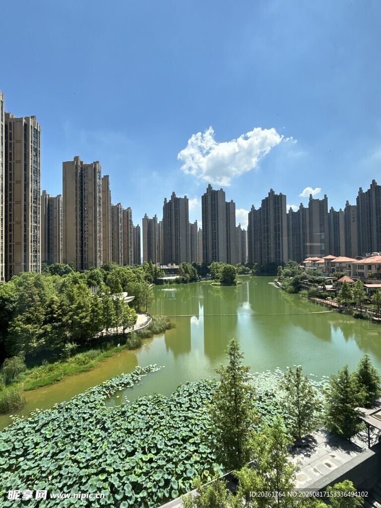 河畔高樓林立的城市景觀