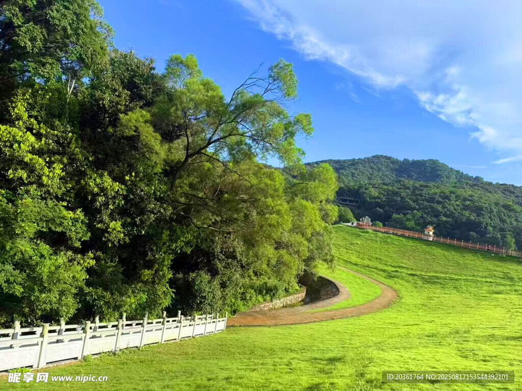 田園綠野間的蜿蜒小路