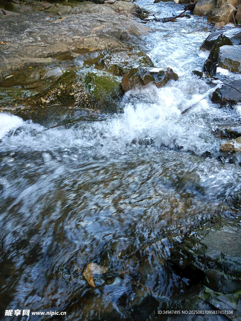 山間溪流潺潺流淌
