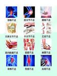 常見疾病癥狀圖示