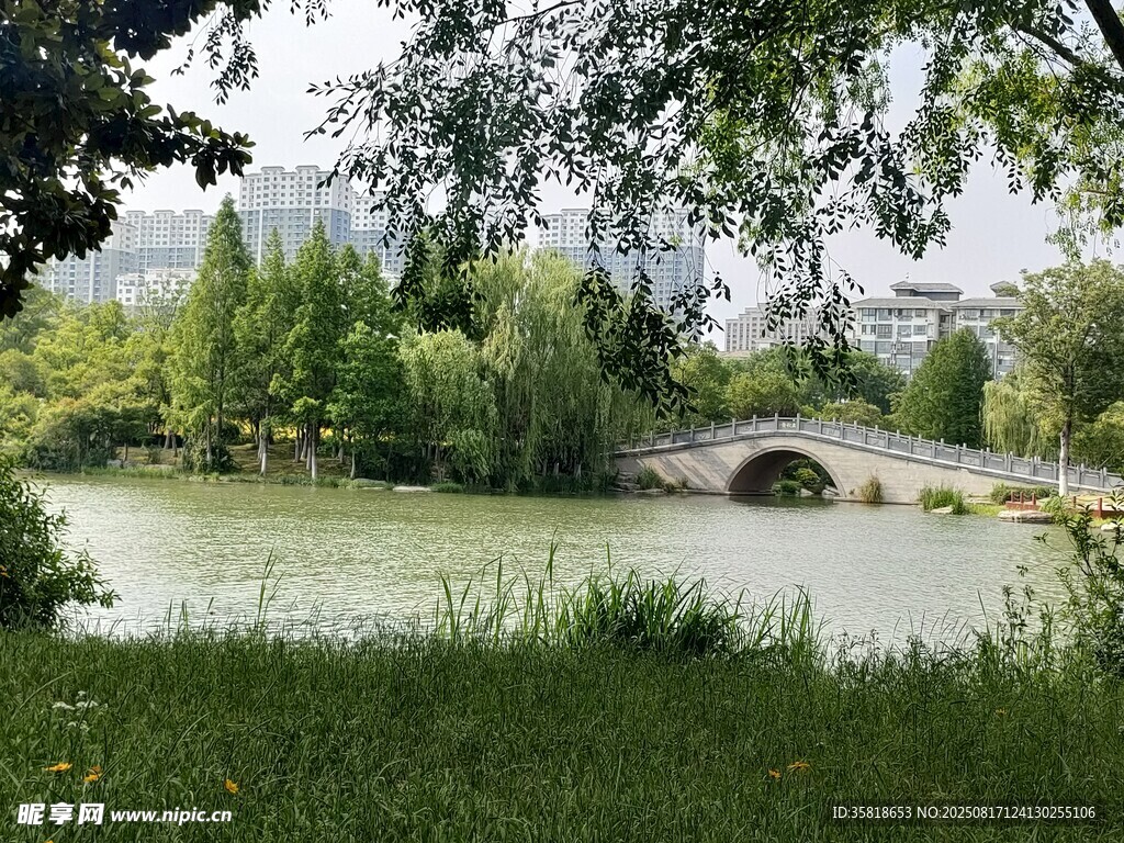 湖畔綠樹(shù)環(huán)繞的寧?kù)o風(fēng)光