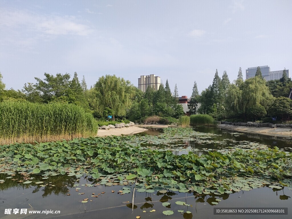 園林 池塘景色