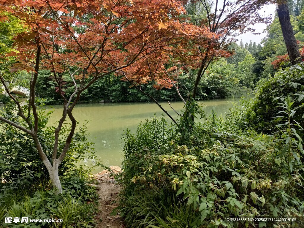 幽靜的小溪 湖泊風景