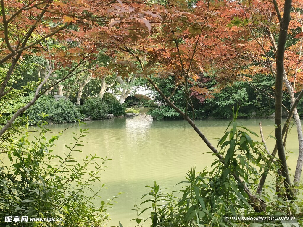 幽靜的小溪 湖泊風(fēng)景