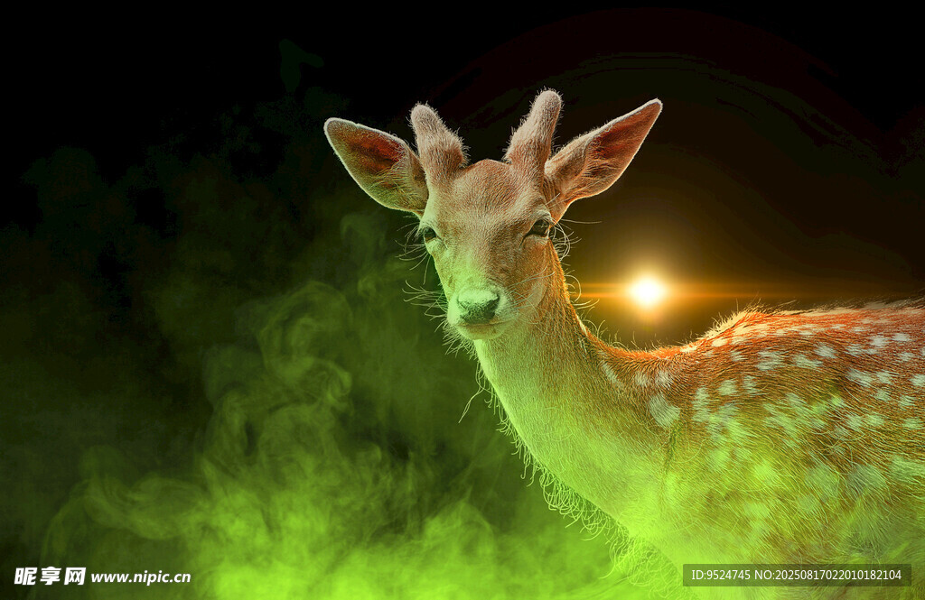 夢(mèng)幻綠光中的小鹿