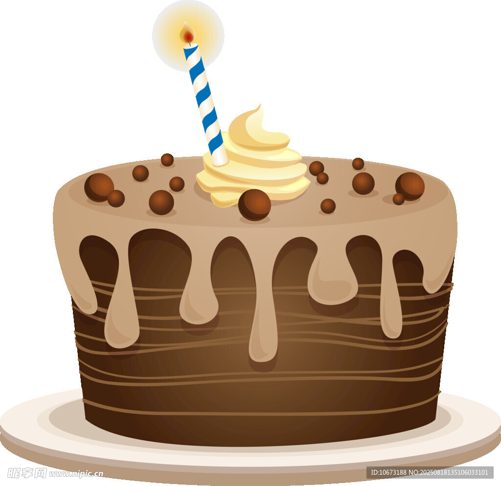 美味巧克力生日蛋糕