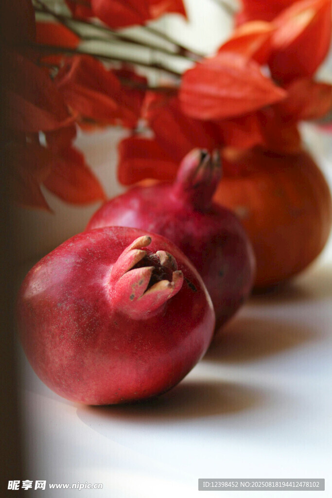 紅石榴靜物特寫