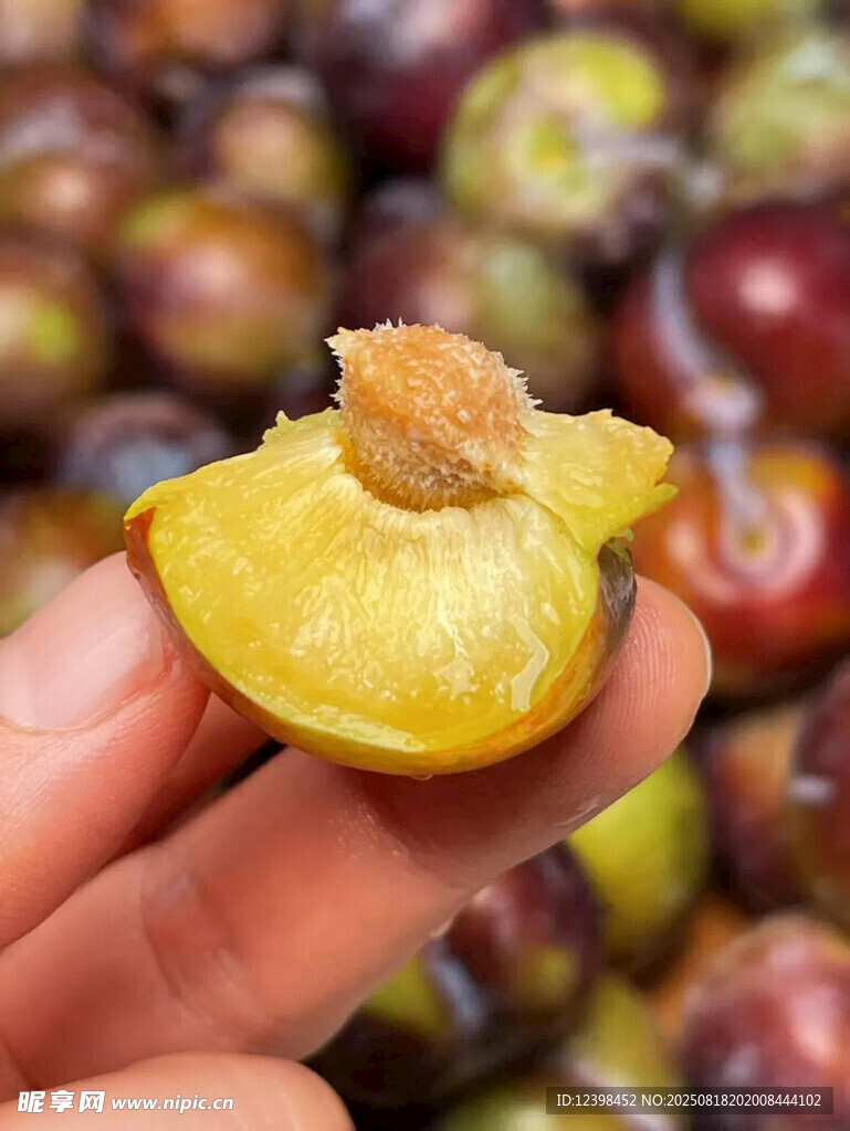 手捧咬過的新鮮黃心李子