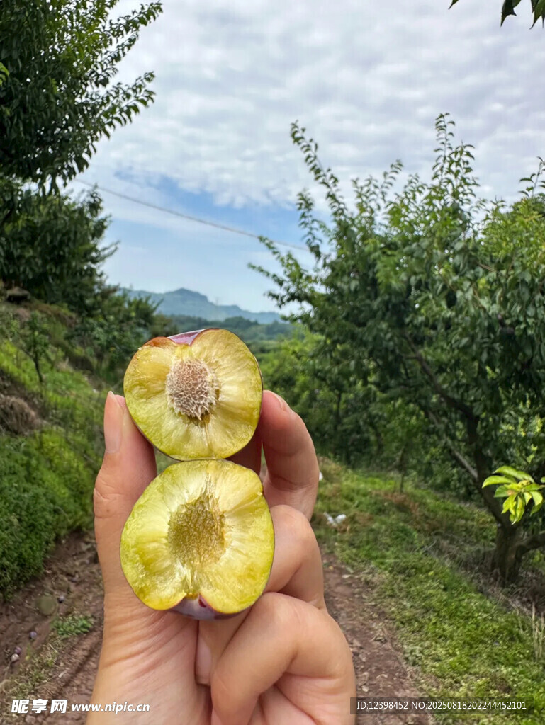 手捧剝開的新鮮山間野果