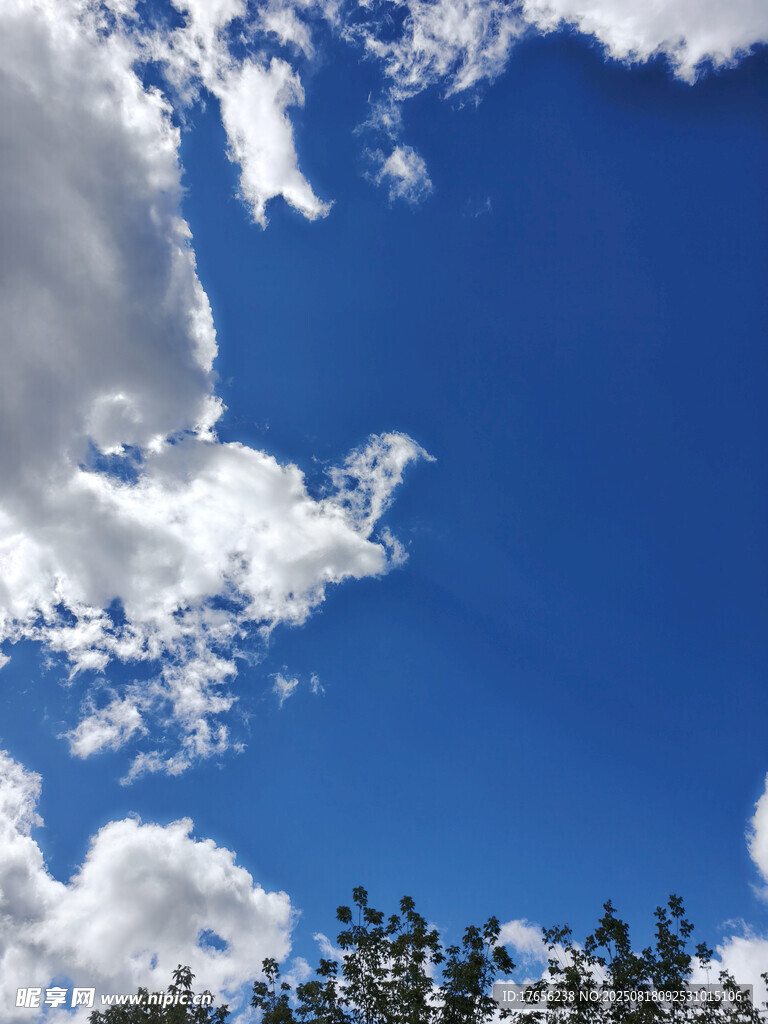 藍天綠樹間的白云美景