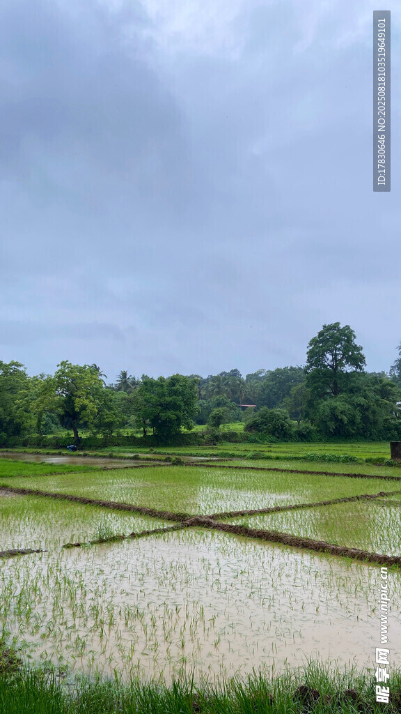 農(nóng)業(yè)生產(chǎn)