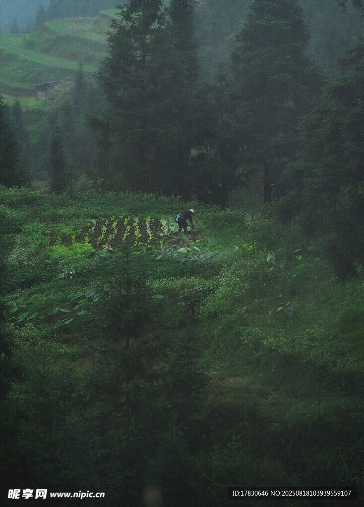 山間綠野中的人群景觀