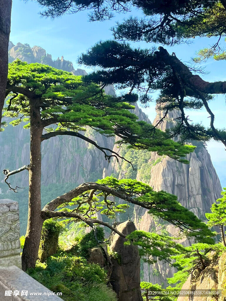 黃山奇松與壯麗山景