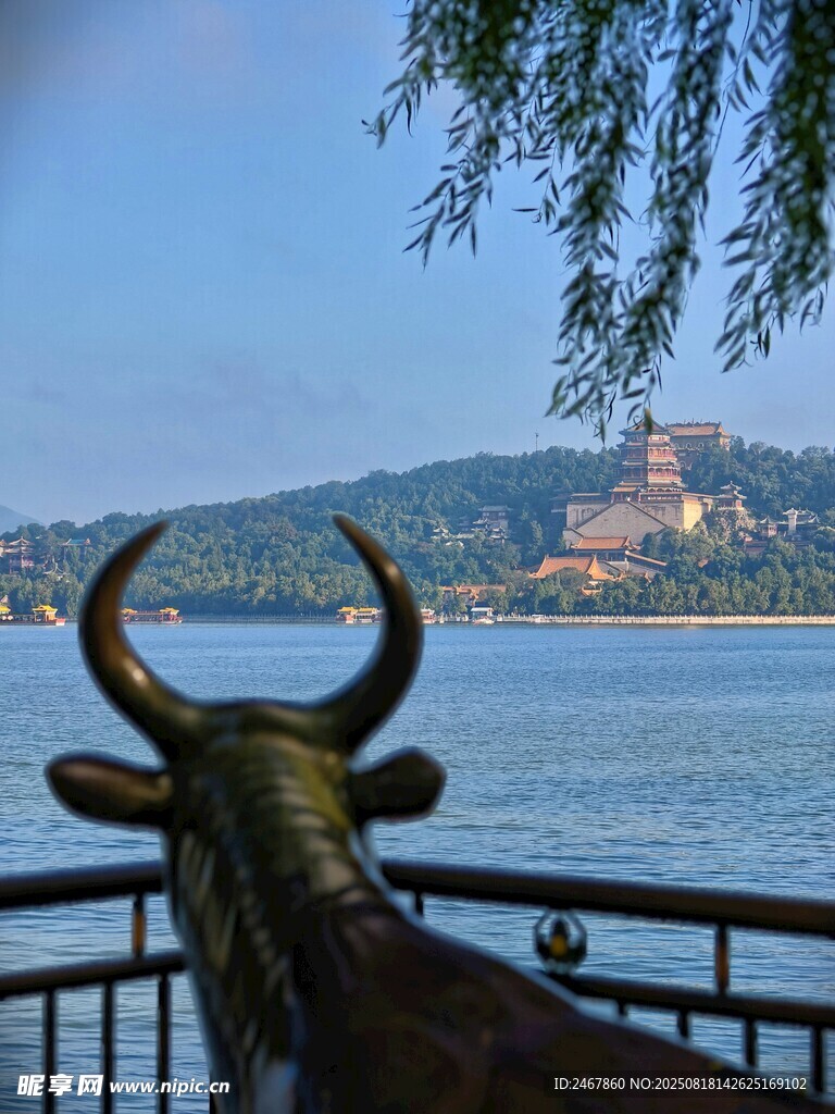 頤和園湖畔銅牛與遠處樓閣景致