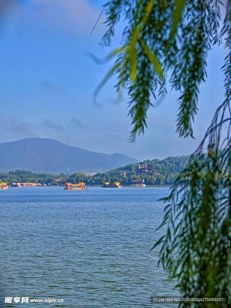 湖畔垂柳 遠山碧水美景