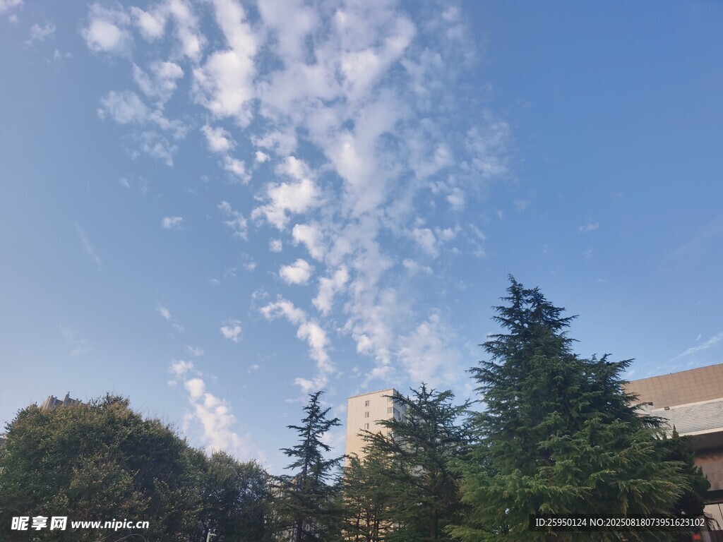 藍天綠樹間的云景