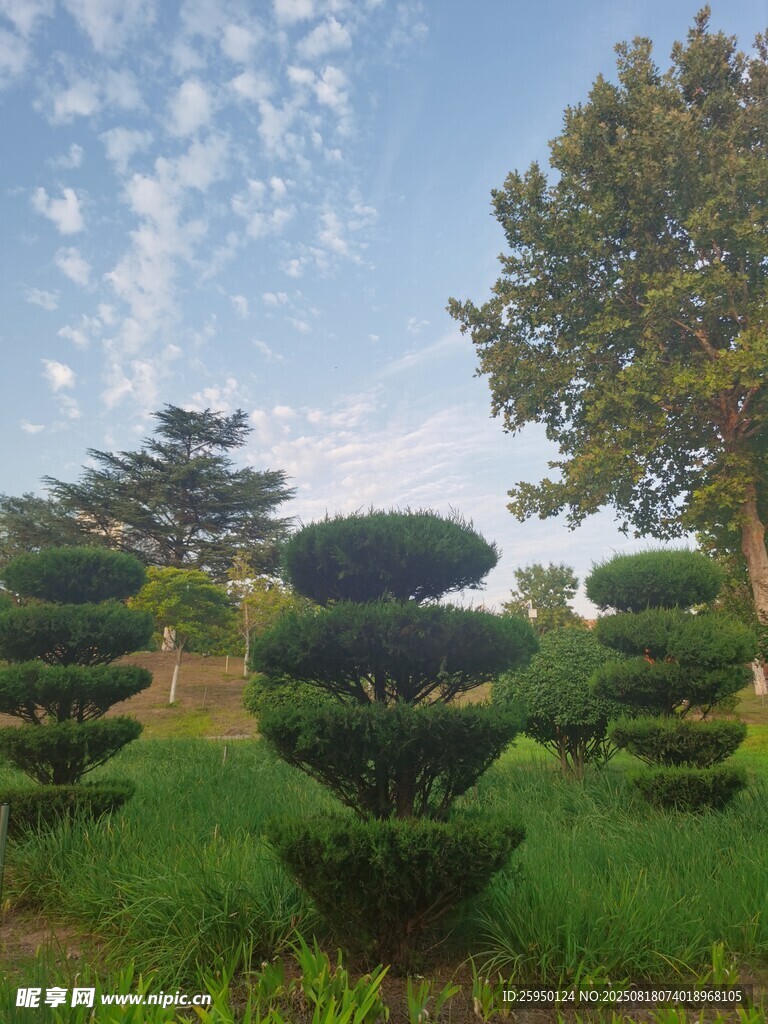 造型別致的園林綠植景觀