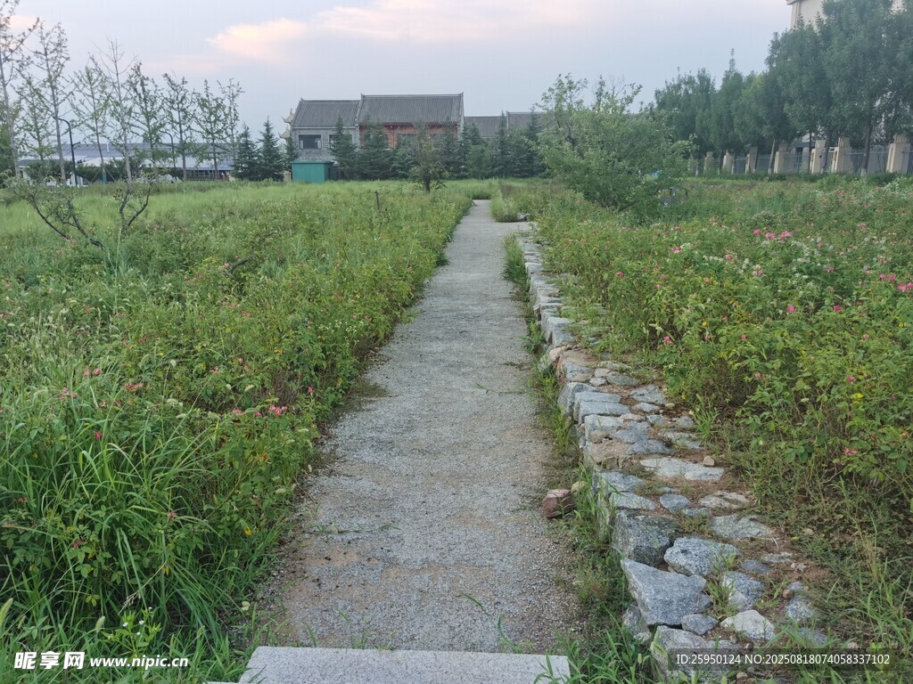 鄉(xiāng)間小徑綠意盎然的風(fēng)景