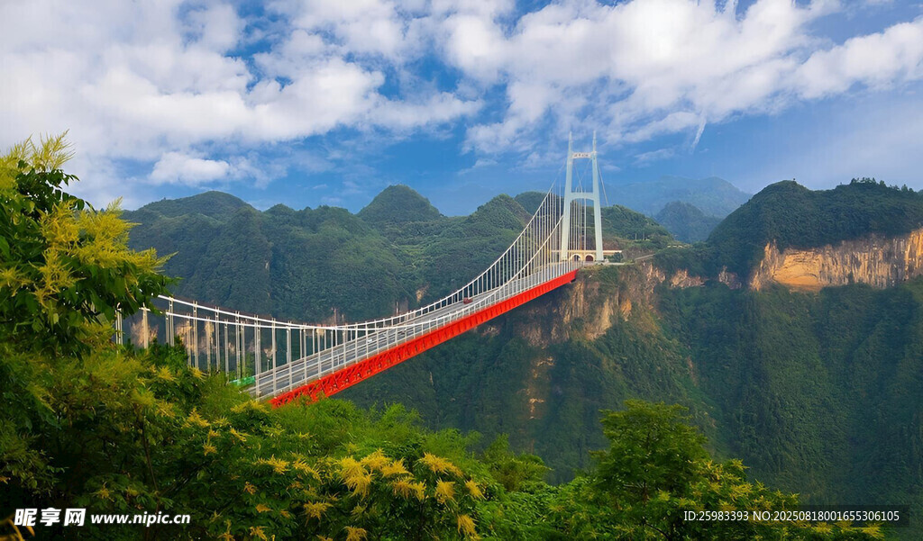 山間懸索橋