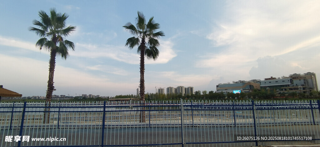 戶外護欄與棕櫚樹景觀