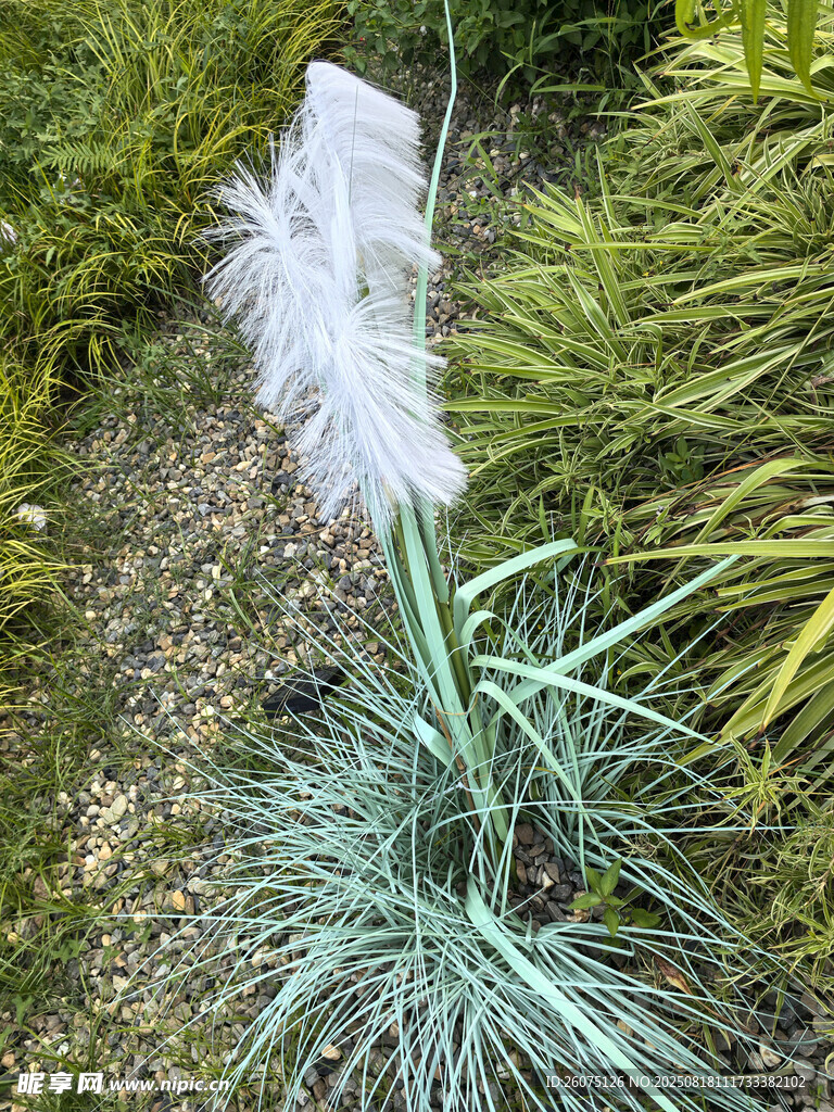 花園中的綠植與白色羽毛狀燈飾