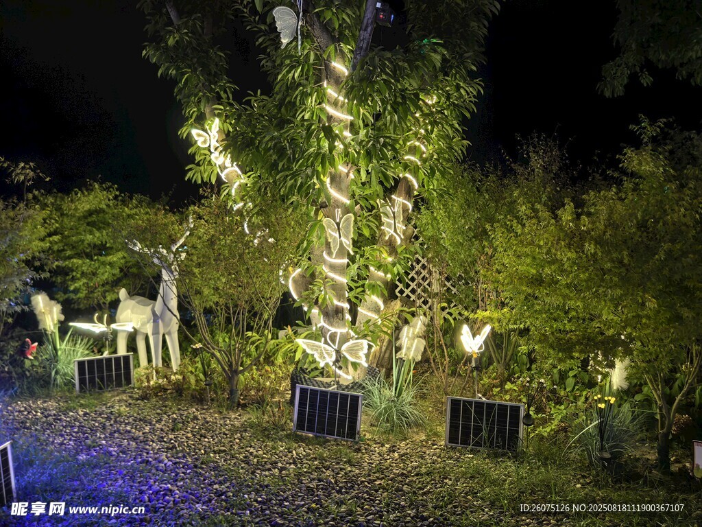 夜晚夢(mèng)幻燈光裝飾的樹木