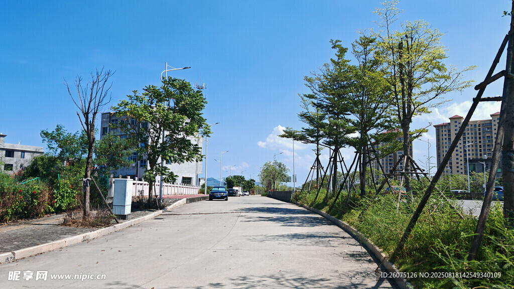 鄉(xiāng)村寧靜小路風景