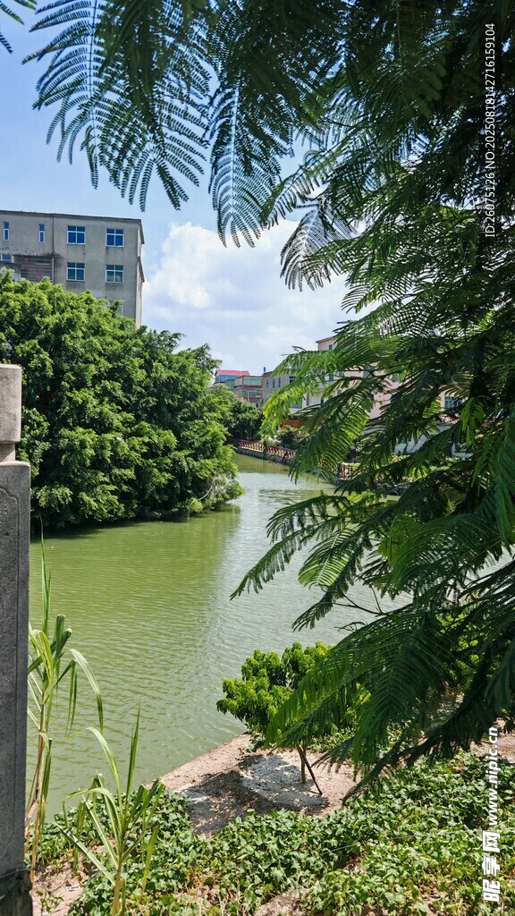 河畔綠意盎然的自然景致
