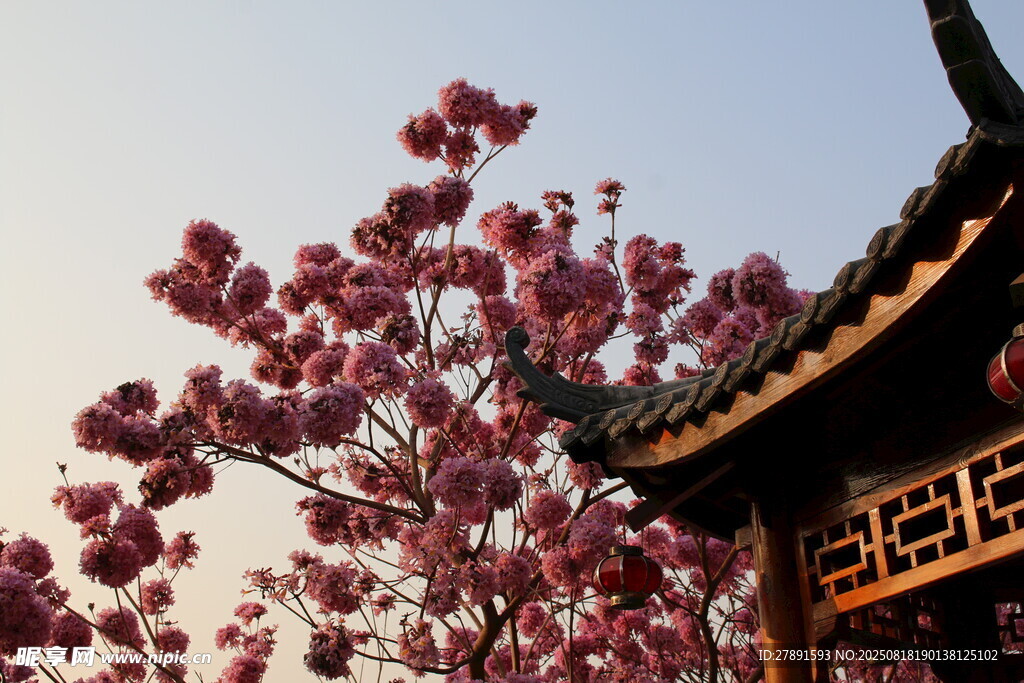 風(fēng)景