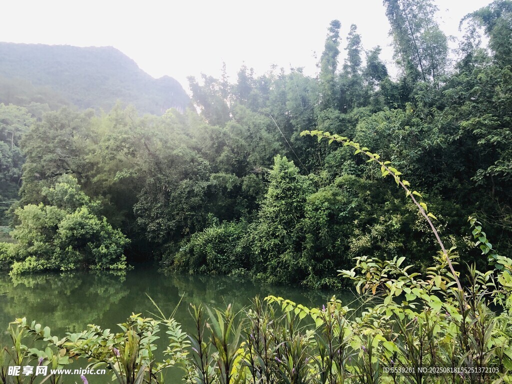 山林間的靜謐湖泊