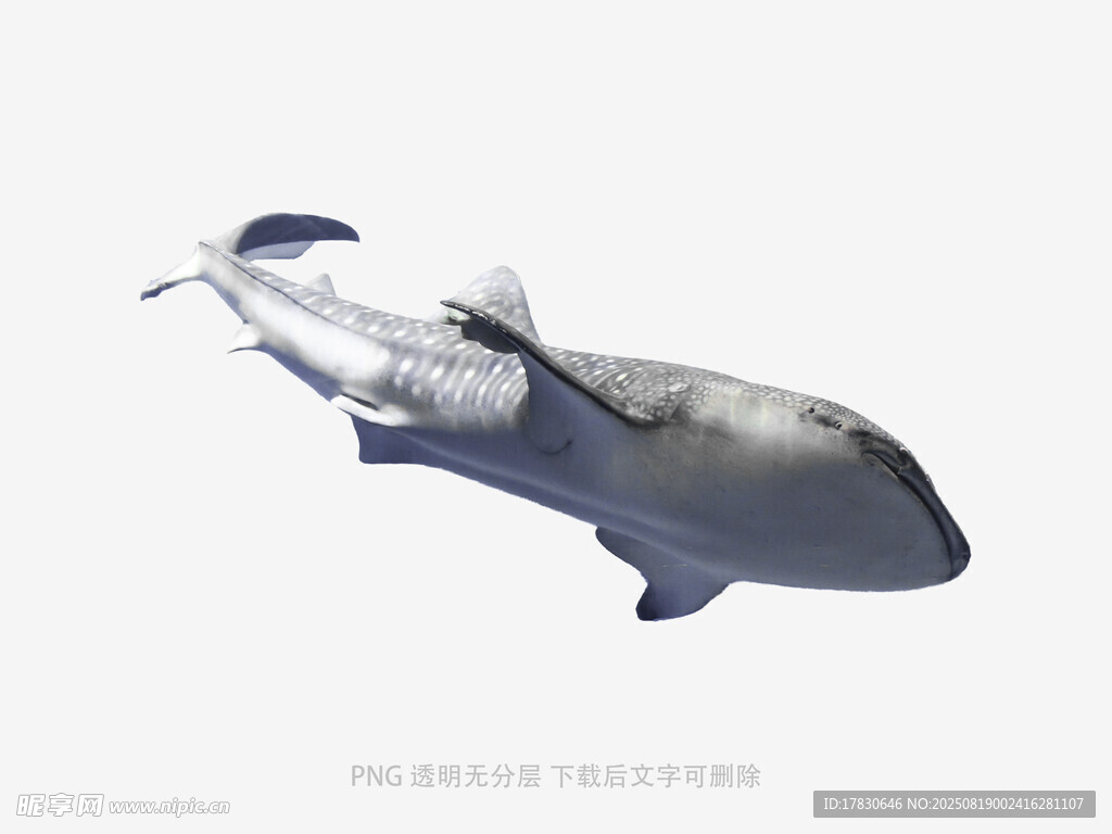 空中飛行的機(jī)械鯨魚模型