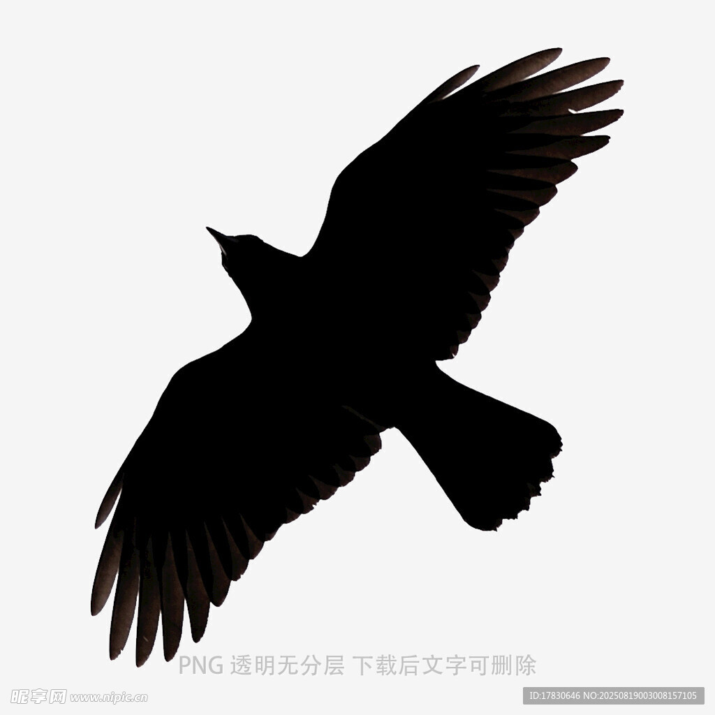 烏鴉