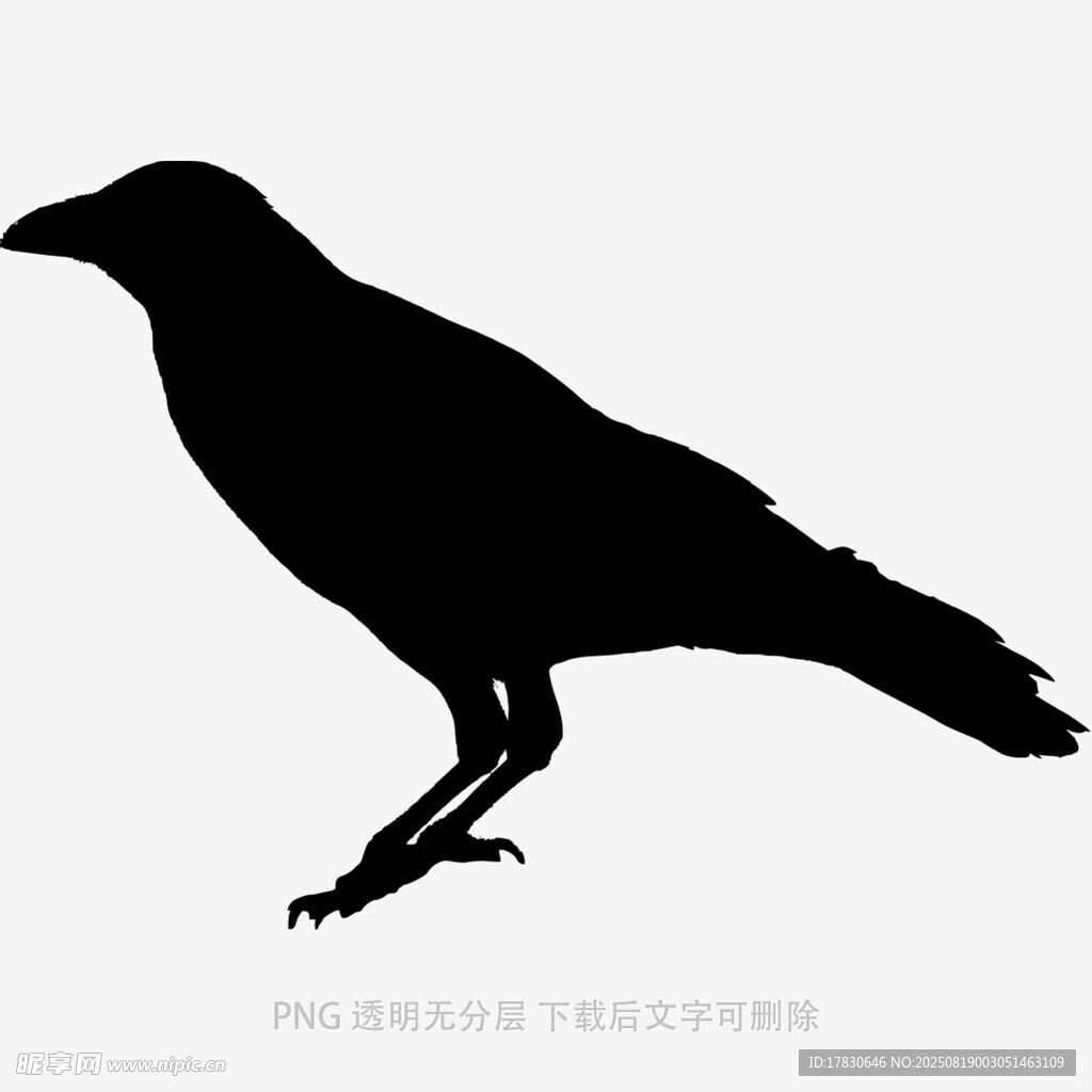 烏鴉