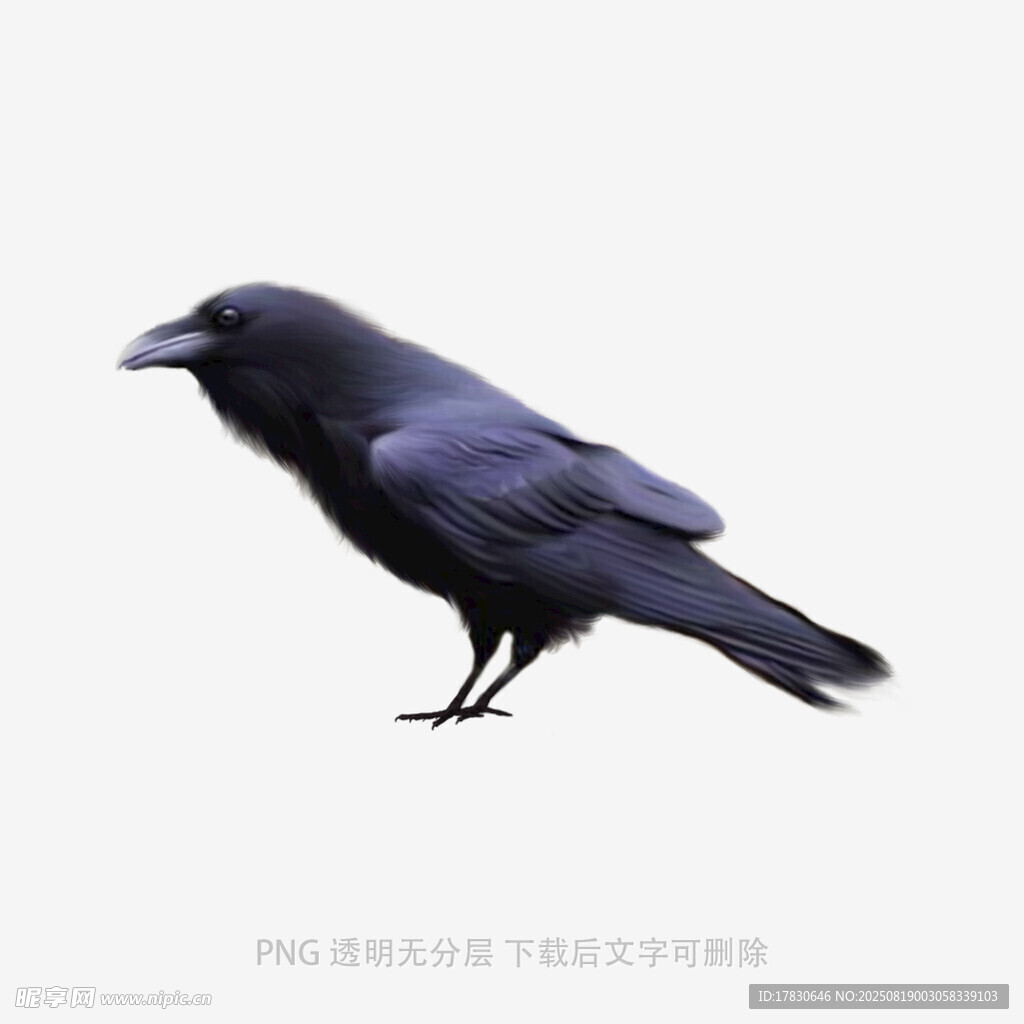 烏鴉