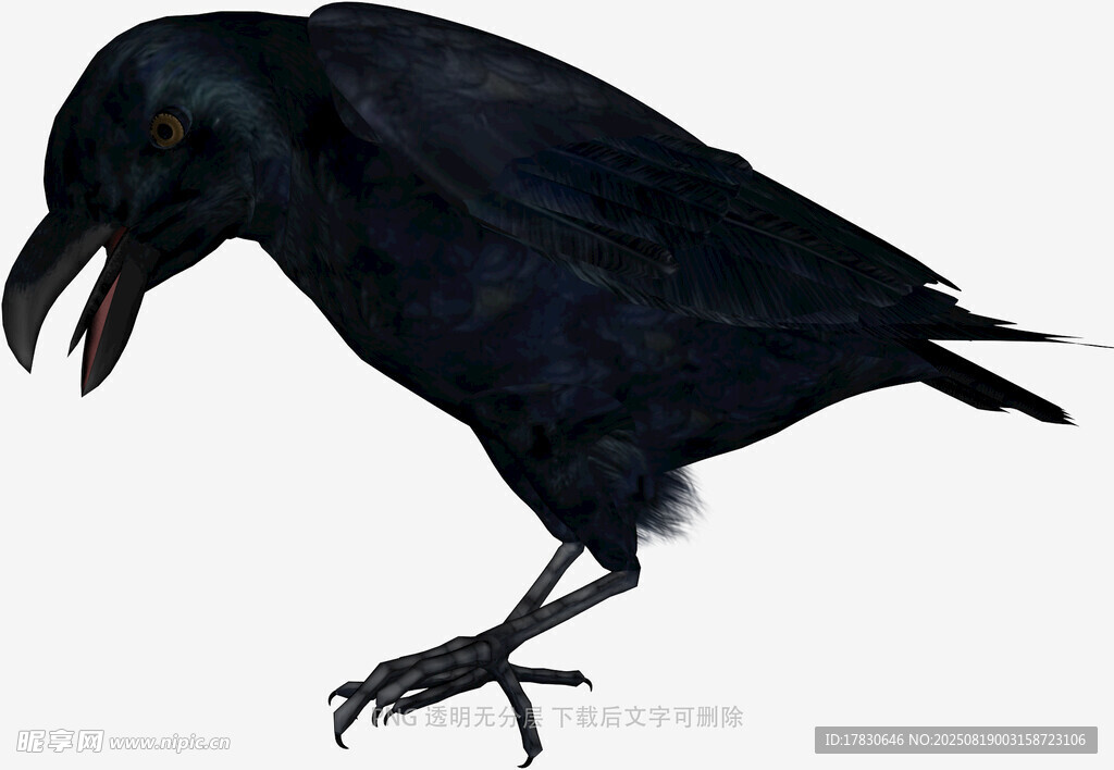 烏鴉