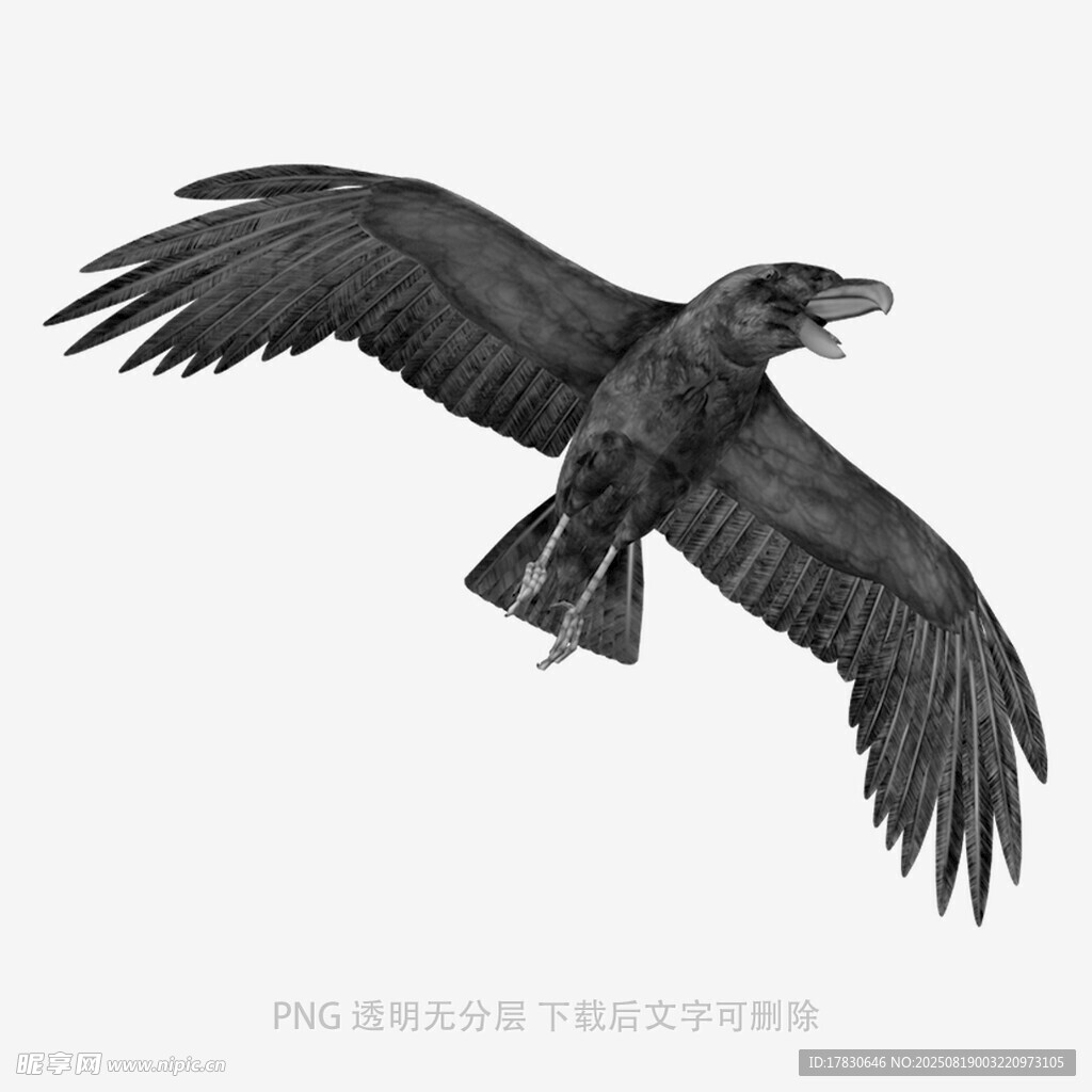 烏鴉