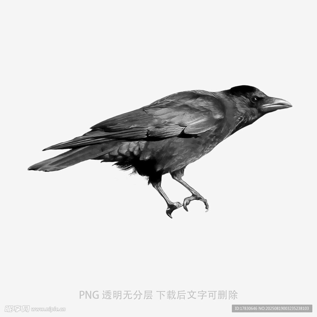 烏鴉