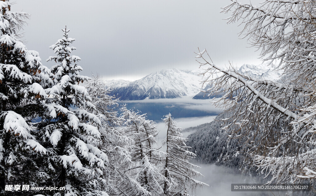 雪覆山林間的壯闊冬日美景