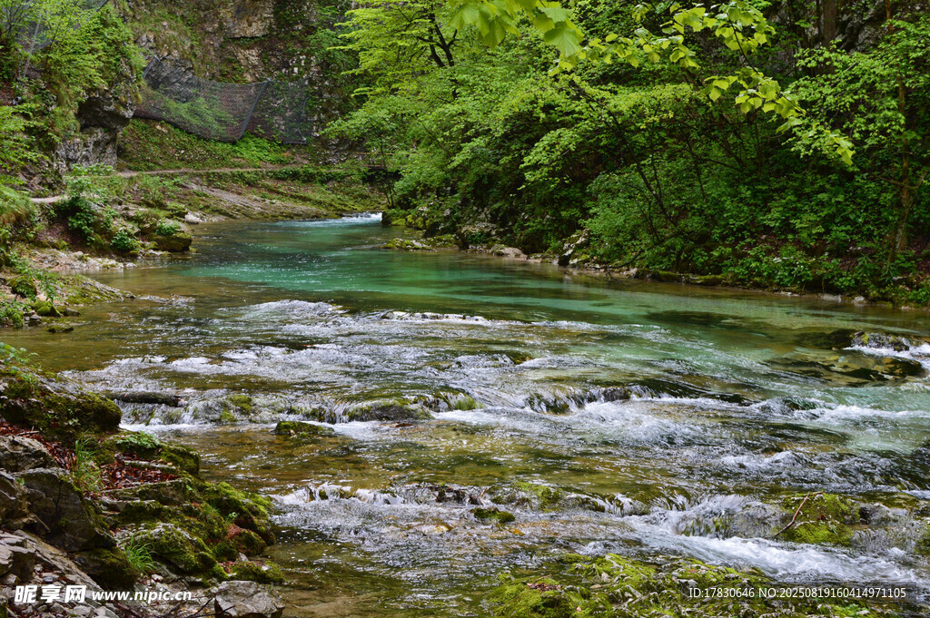 山間清澈溪流美景