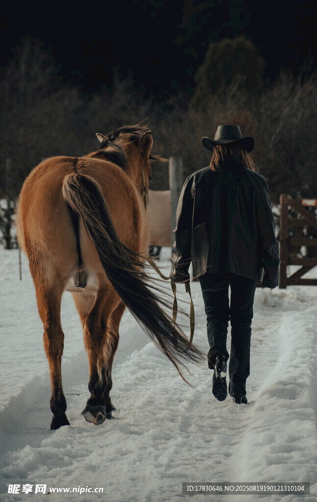 雪地中人與馬的溫馨畫(huà)面