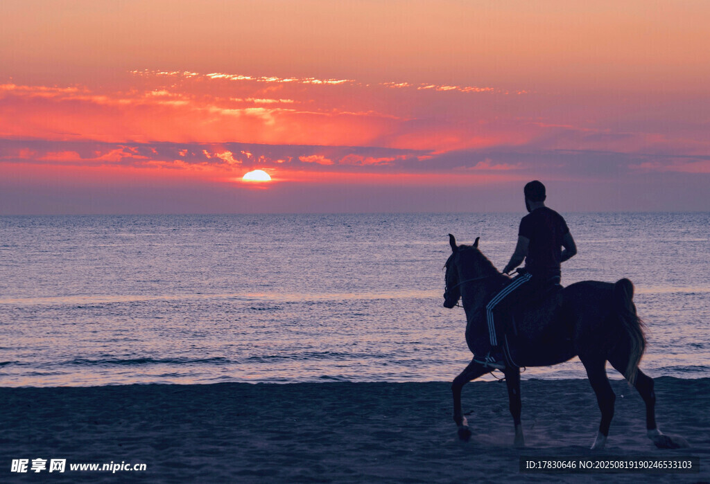 夕陽下海邊騎馬的浪漫身影
