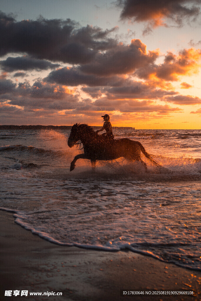 夕陽下海灘上的策馬奔騰