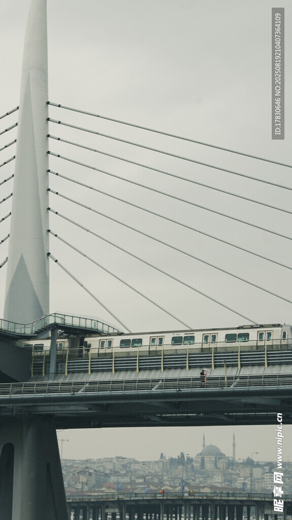 城市橋梁上行駛的列車